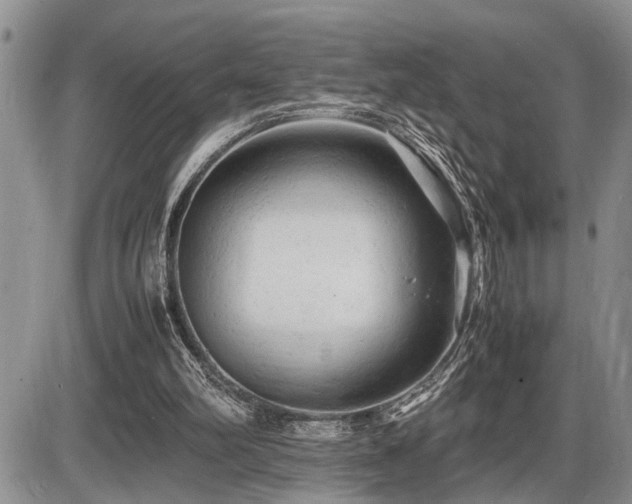 X0000086060102200703231252