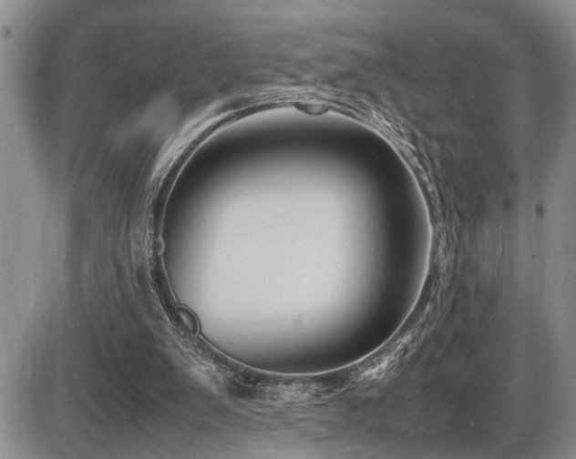 X0000086060103200703231252