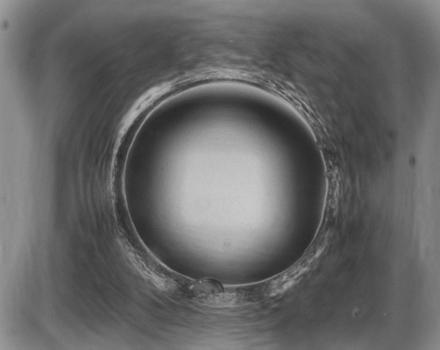 X0000086060104200703231252