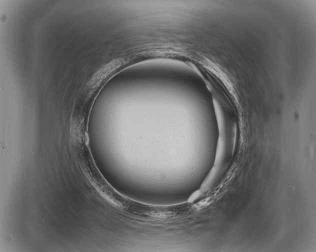 X0000086060105200703231252