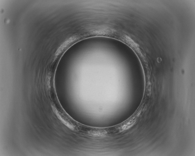 X0000086060106200703231252