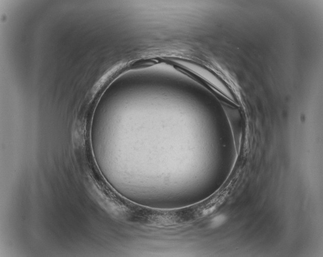 X0000086060107200703231252