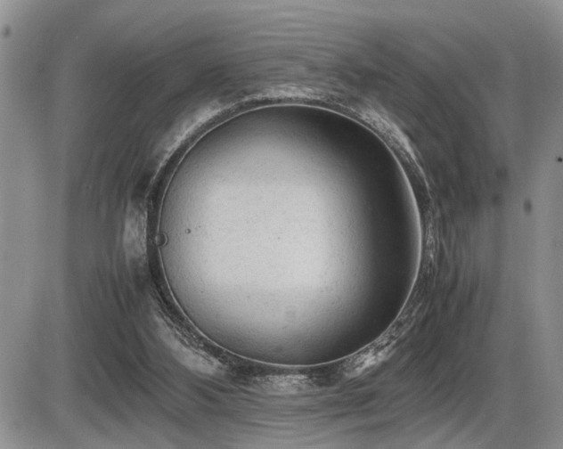 X0000086060108200703231252