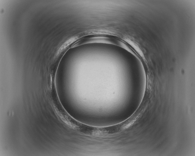 X0000086060109200703231252