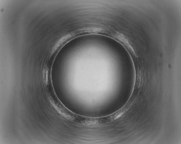 X0000086060110200703231252