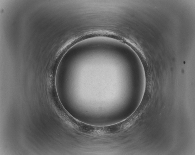 X0000086060111200703231252