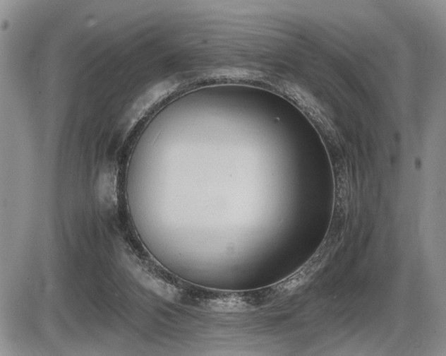 X0000086060112200703231252