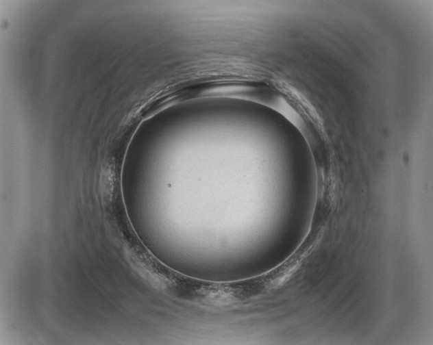 X0000086060113200703231252