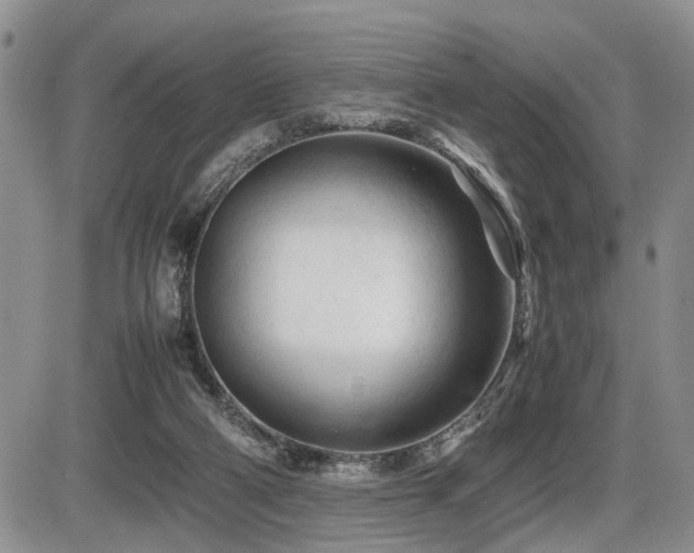 X0000086060114200703231252