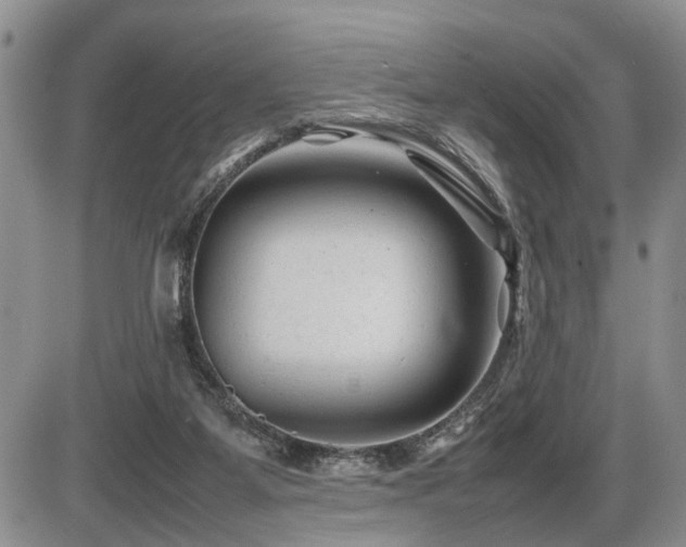 X0000086060115200703231252