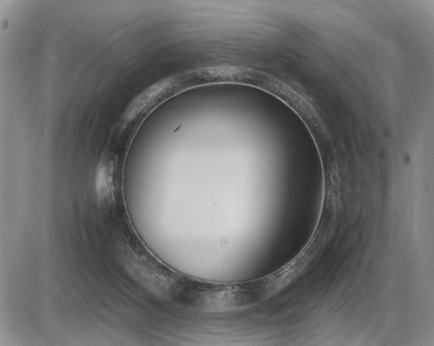 X0000086060116200703231252