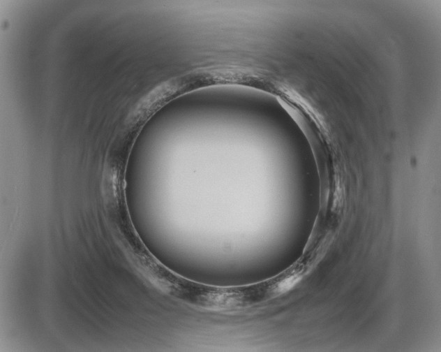 X0000086060117200703231252