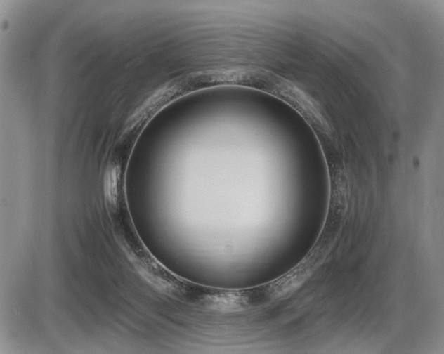 X0000086060118200703231252