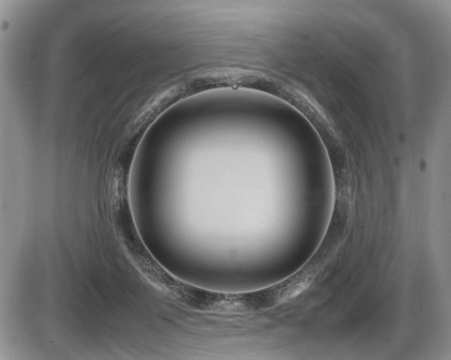 X0000086060119200703231252