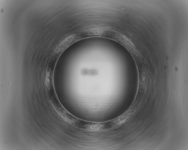 X0000086060122200703231251