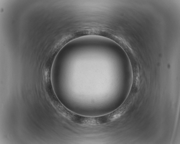 X0000086060123200703231251