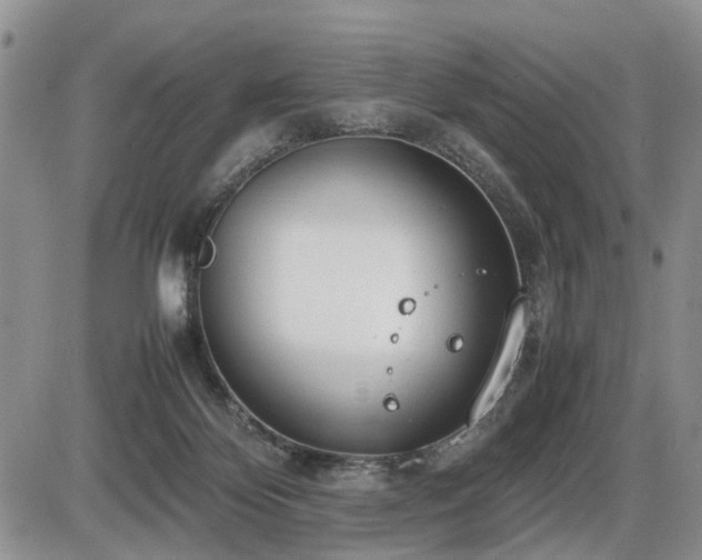 X0000086060124200703231251