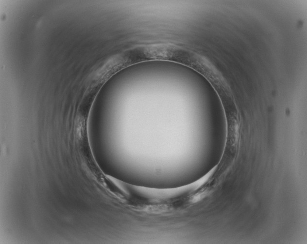 X0000086060125200703231251