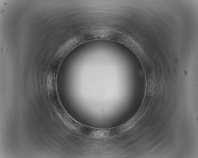 X0000086060126200703231251