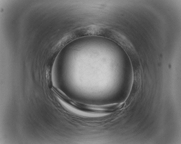 X0000086060127200703231251