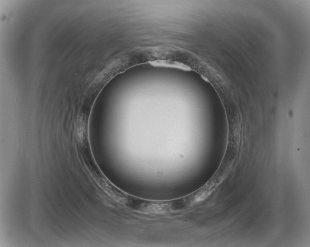 X0000086060129200703231251