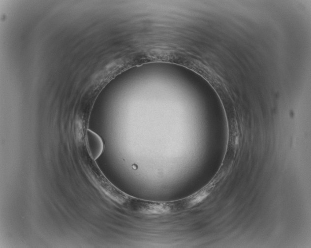 X0000086060130200703231251