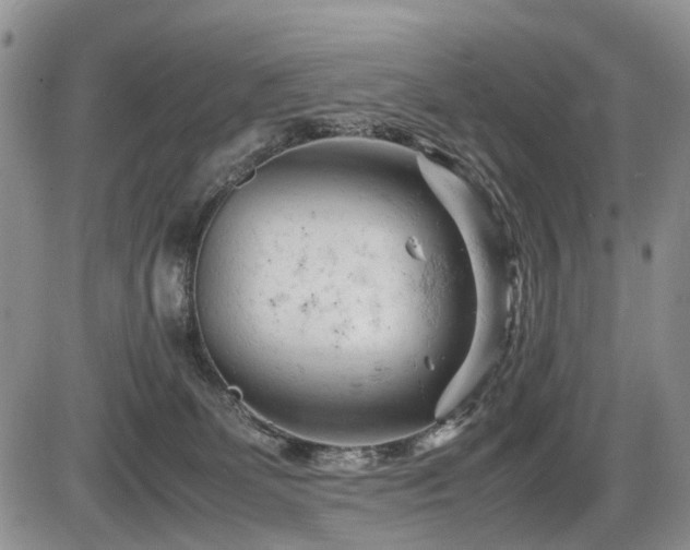 X0000086060131200703231251