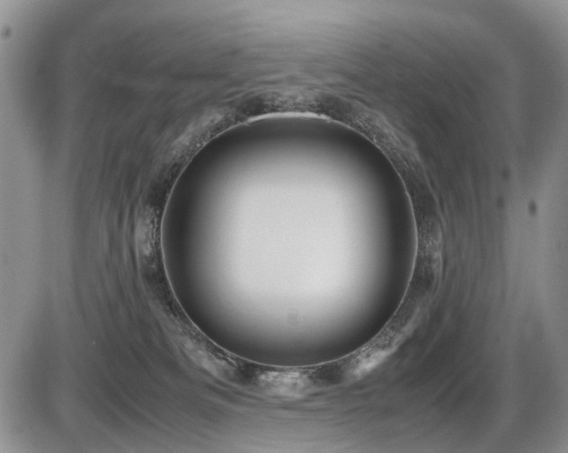 X0000086060133200703231251