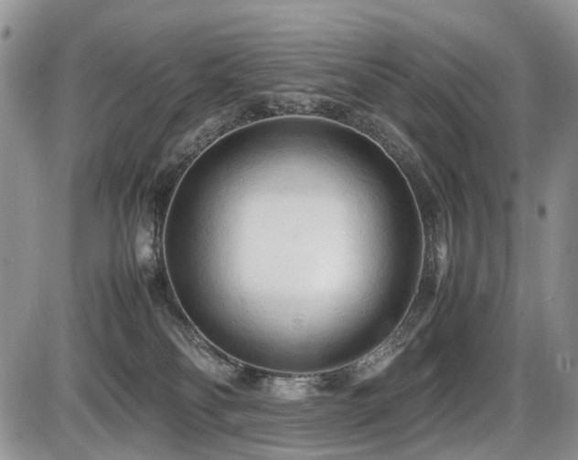 X0000086060134200703231251