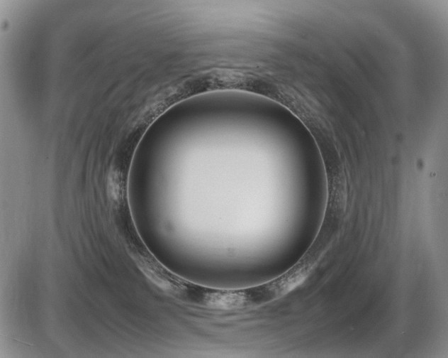 X0000086060135200703231251