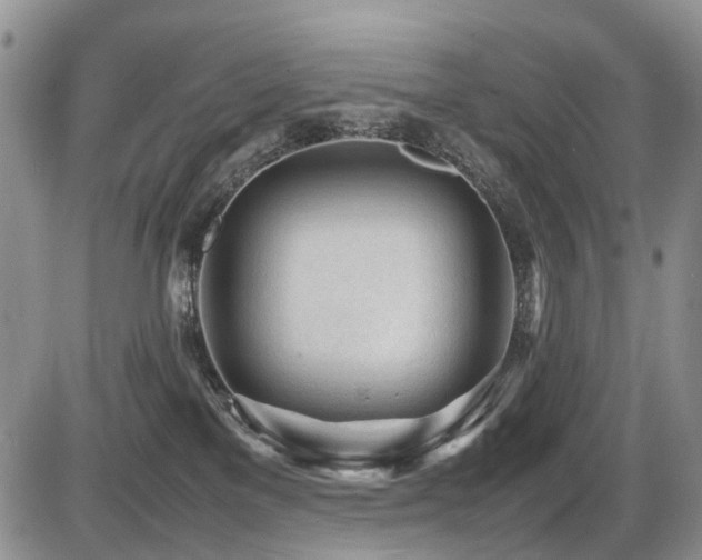 X0000086060137200703231251