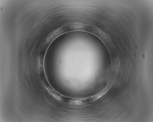 X0000086060140200703231251