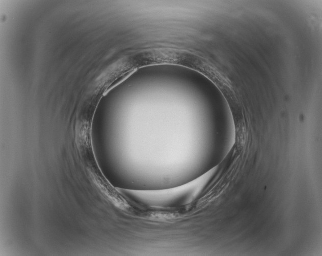 X0000086060141200703231251