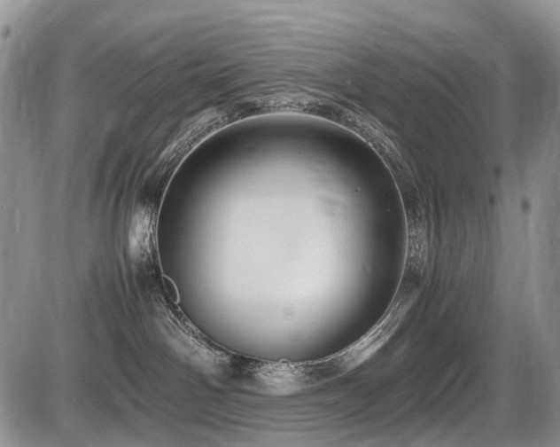 X0000086060142200703231251