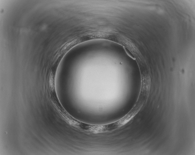 X0000086060143200703231251