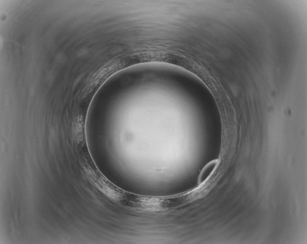 X0000086060144200703231251