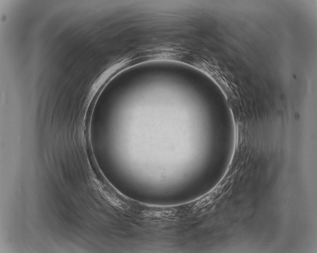 X0000086060147200703231250