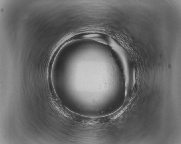 X0000086060148200703231250