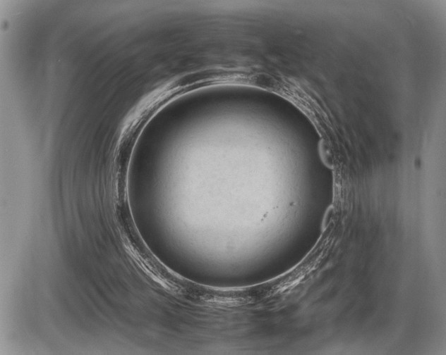 X0000086060149200703231250