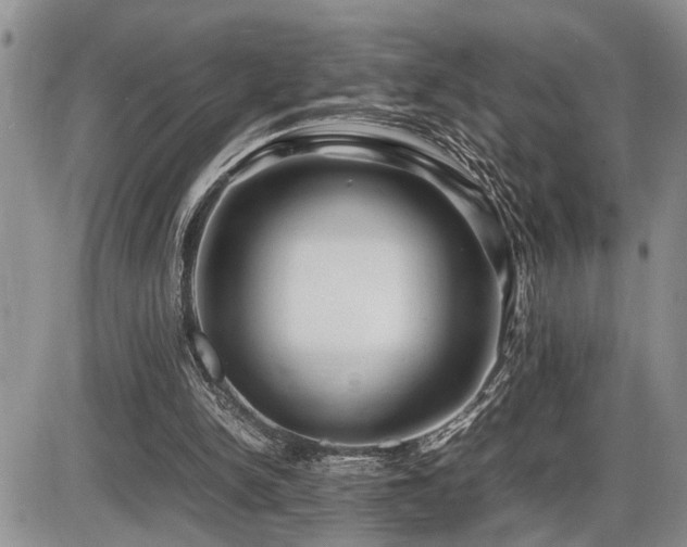 X0000086060150200703231250