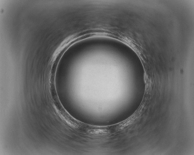 X0000086060151200703231250