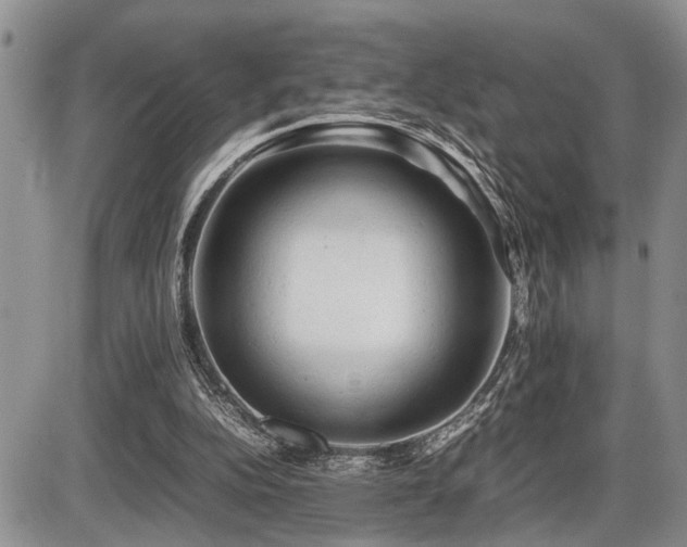 X0000086060152200703231250