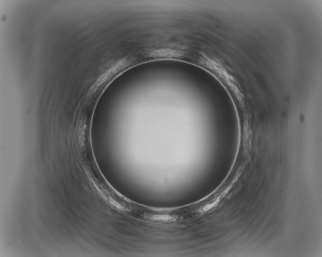 X0000086060153200703231250