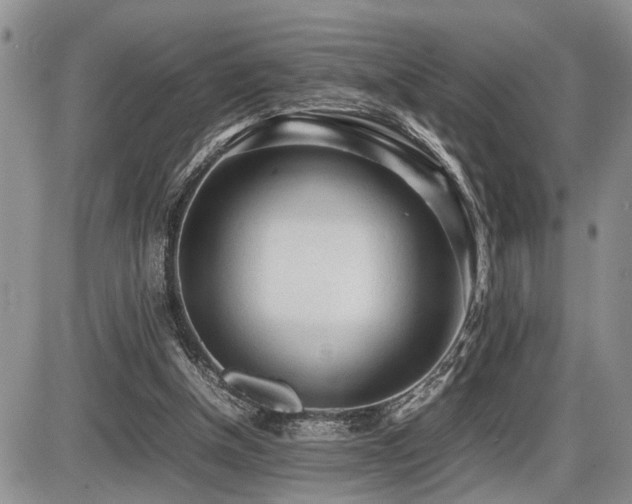 X0000086060154200703231250