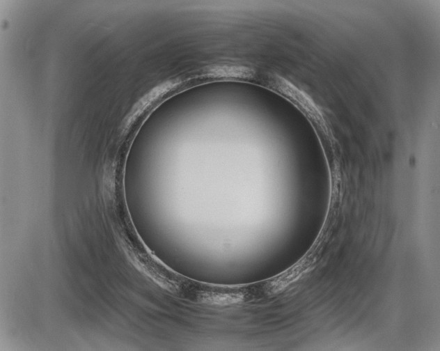 X0000086060155200703231250