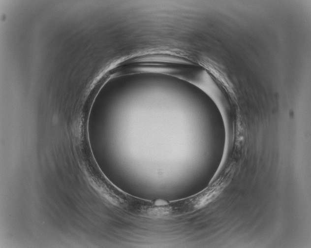 X0000086060156200703231251