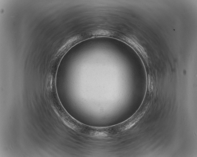 X0000086060157200703231251