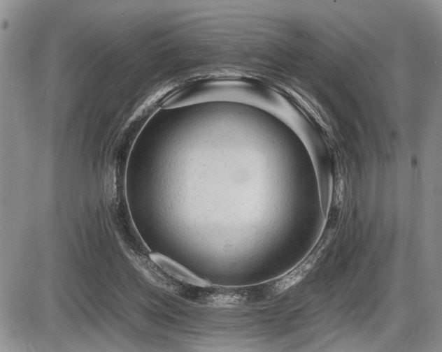 X0000086060158200703231251