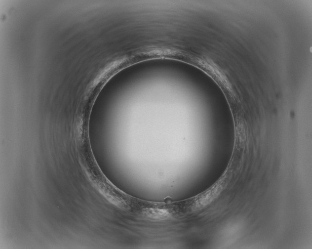 X0000086060159200703231251