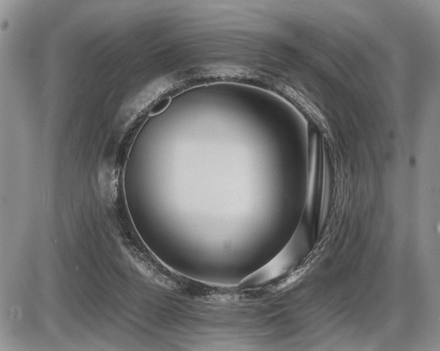 X0000086060160200703231251